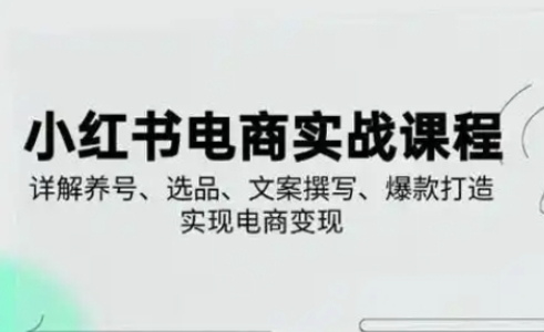 小红书从0-1实操课(2023-2025)，详解养号、选品、文案撰写、爆款打造实现电商变现-百货大全