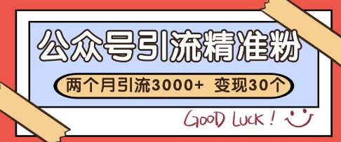 公众号精准粉引流玩法，2个月3000+精准粉，变现30个W【揭秘】-百货大全