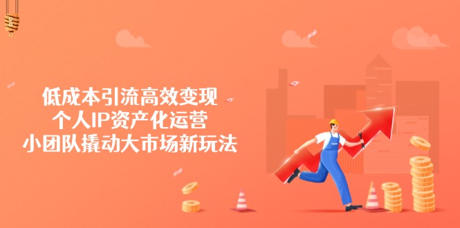 低成本引流高效变现，个人IP资产化运营，小团队撬动大市场新玩法-百货大全