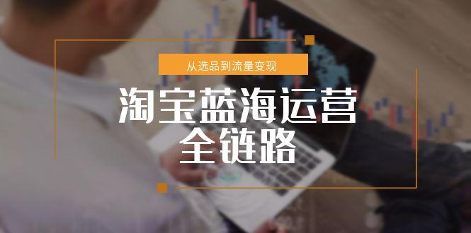 淘宝蓝海运营全链路，从选品到流量变现，小类目突围完整方案-百货大全
