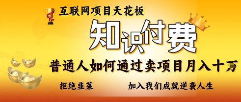互联网项目天花板，知付付费项目，普通人如何通过卖项目月入十个，拒绝韭菜【揭秘】-百货大全