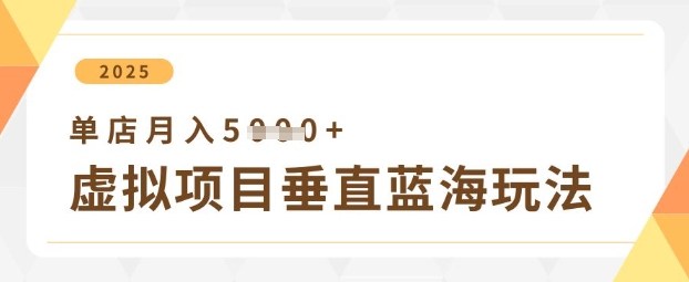 虚拟项目垂直玩法，实现单店月入5k+-百货大全