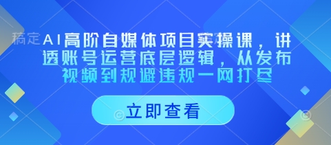 AI高阶自媒体项目实操课，讲透账号运营底层逻辑，从发布视频到规避违规一网打尽-百货大全