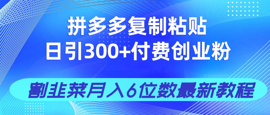 拼多多复制粘贴日引300+付费创业粉，割韭菜月入6位数最新教程！-百货大全