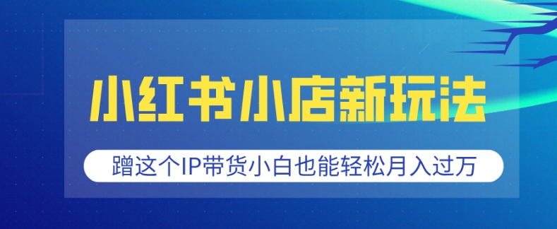 小红书小店新玩法，蹭这个IP带货，小白也能轻松月入过W【揭秘】-百货大全