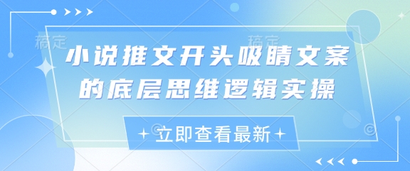 小说推文开头吸睛文案的底层思维逻辑实操-百货大全