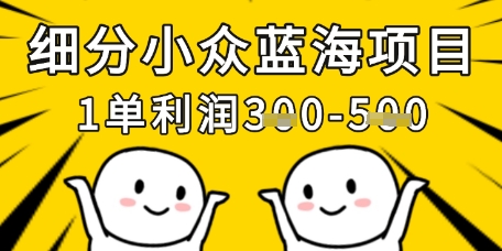 细分小众蓝海项目，一单利润3张，每月收入稳定过1w+-百货大全