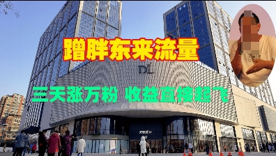 蹭胖东来流量，三天涨万粉，收益直接起飞-百货大全