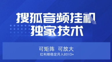 【搜狐音频挂G】独家技术，可矩阵可放大，红利期稳定月入8k【揭秘】-百货大全
