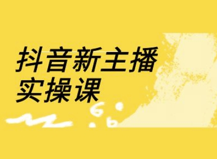 抖音新主播实操课，直播间流量运营线上实操课(18节)-百货大全