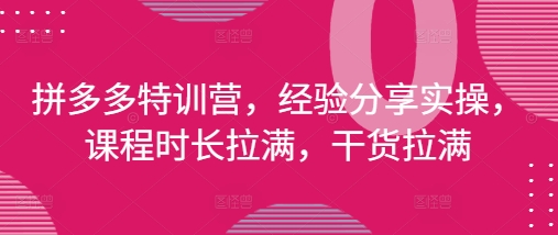 拼多多特训营，经验分享实操，课程时长拉满，干货拉满(更新25年4月)-百货大全