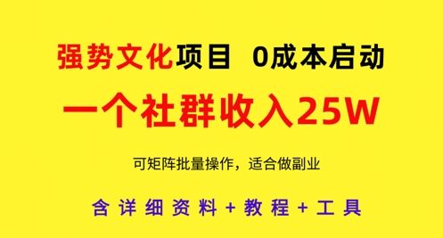 强势文化项目，一个社群收入25个W，0成本启动，可矩阵批量操作，原创详细实操教程-百货大全