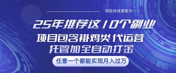 25年推荐这10个副业项目包含褂鸡类、代运营托管类、全自动打金类【揭秘】-百货大全