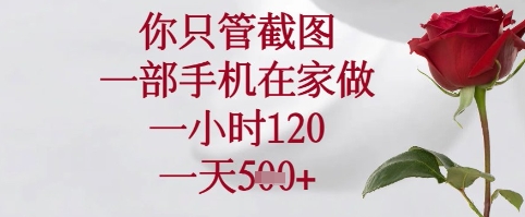 你只管截图，一部手机在家可以做，一小时120.一天5张+【揭秘】-百货大全