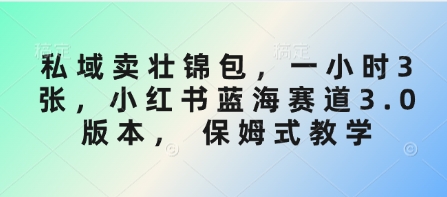 私域卖壮锦包，一小时3张，小红书蓝海赛道3.0版本， 保姆式教学-百货大全