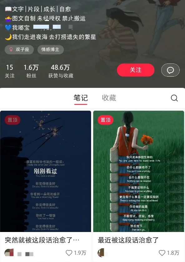 小红书治愈文案图文笔记，零门槛，一分钟制作轻松制作爆款作品月入万元-百货大全