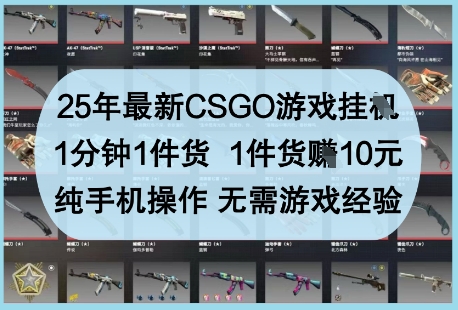 25年最新CSGO游戏挂G，1分钟1件货，1件货挣10元，纯手机操作，无需游戏经验【揭秘】-百货大全