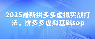 2025最新拼多多虚拟实战打法，拼多多虚拟基础sop-百货大全