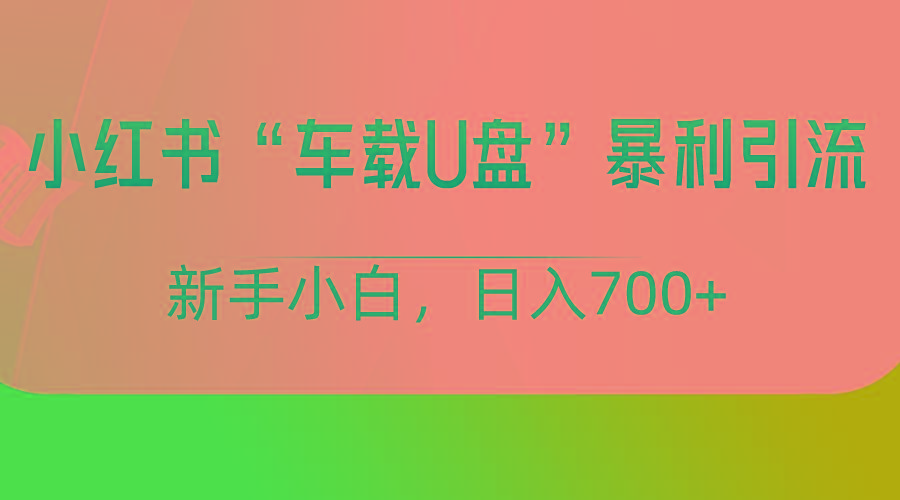 小红书“车载U盘”项目，暴利引流，新手小白轻松日入700+-百货大全