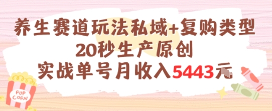 养生赛道玩法私域+复购类型，20秒生产原创实战单号月收入5k+-百货大全
