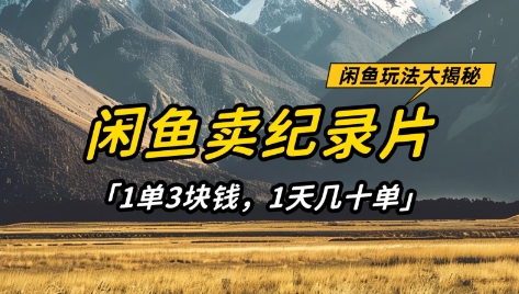 闲鱼卖纪录片1单3块钱，1天几十单，项目稳定有潜力-百货大全