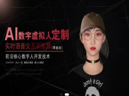 AI数字虚拟人定制，实时语音交互训练营(零基础)，前沿核心数字人开发技术-百货大全