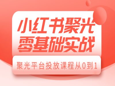 小红书聚光零基础实战，聚光平台投放课程从0到1-百货大全