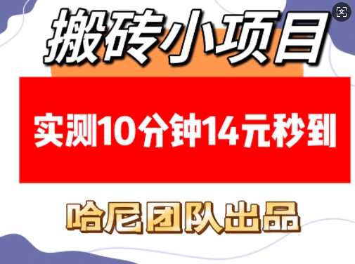 搬砖小项目，实测10分钟14元秒到，每天稳定几张(赠送必看稳定)-百货大全