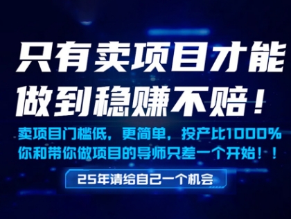 只有卖项目才能做到稳挣不赔，门槛低，更简单，你也可以年入百个W【揭秘】-百货大全