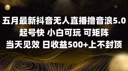 2025五月最新无人直播撸音浪单日产出5张+实操教程【揭秘】-百货大全
