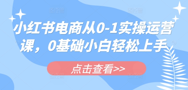 小红书电商从0-1实操运营课，0基础小白轻松上手-百货大全