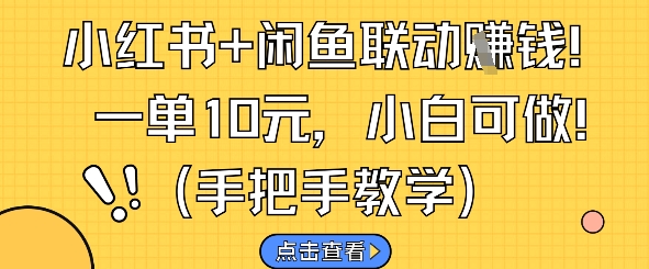 小红书+闲鱼联动挣钱，一单10元，小白可做-百货大全