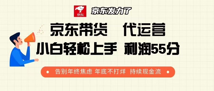 京东带货 代运营 利润55分 告别年终焦虑 年底不打烊 持续现金流-百货大全