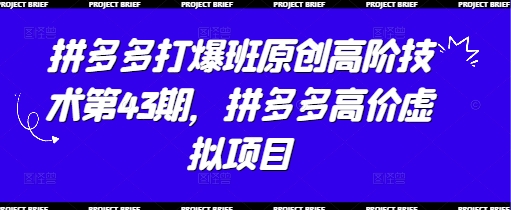 拼多多打爆班原创高阶技术第43期，拼多多高价虚拟项目-百货大全