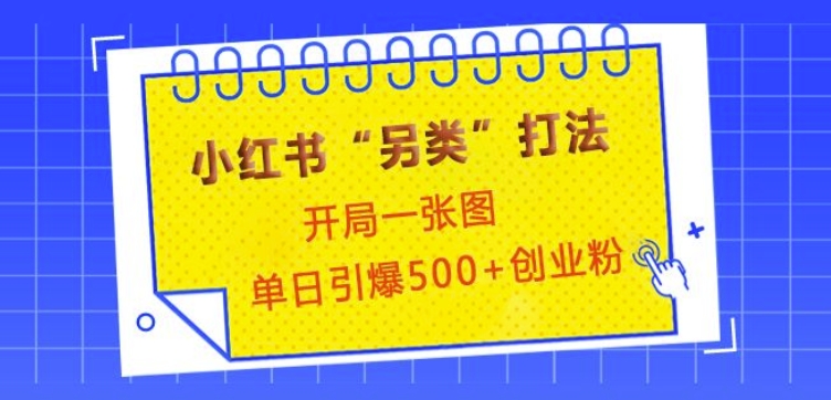 小红书“另类”打法，开局一张图，单日引爆500+精准创业粉【揭秘】-百货大全
