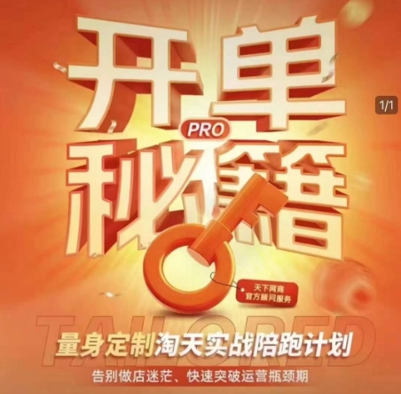 淘宝开单秘籍PRO，量身定制淘天实战陪跑计划，告别做店迷茫、快速突破运营瓶颈期(更新)-百货大全
