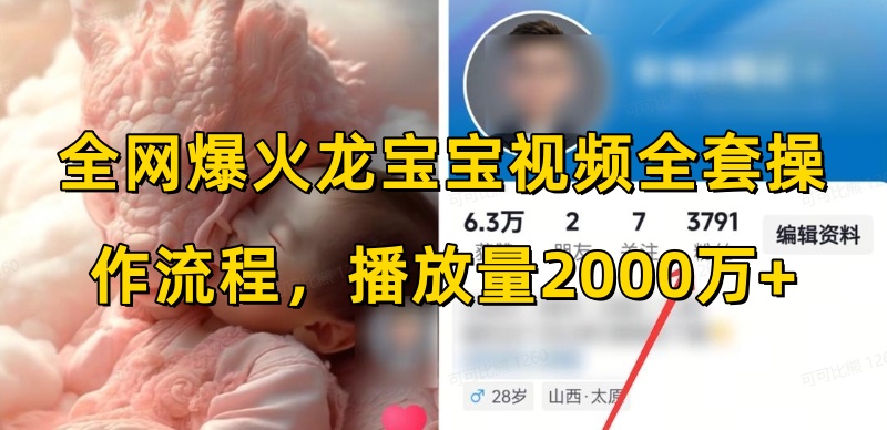 全网爆火龙宝宝视频全套操作流程，播放量2000万+-百货大全