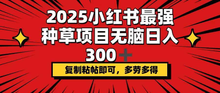 2025小红书最强种草项目，无脑日入300+，复制粘帖即可，多劳多得-百货大全