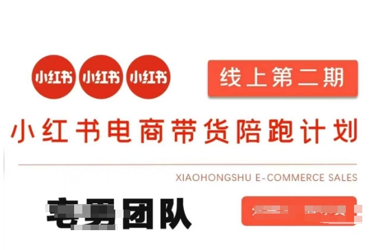 小红书电商带货课2期，月利润20个的小红书电商的有货源，无货源，虚拟产品，付费投流等整套玩法-百货大全