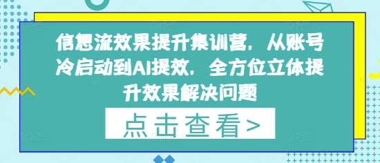 信息流效果提升集训营，从账号冷启动到AI提效，全方位立体提升效果解决问题-百货大全