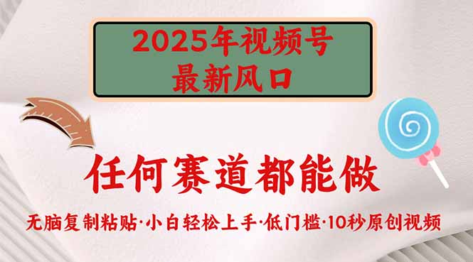 2025年视频号新风口，低门槛只需要无脑执行-百货大全