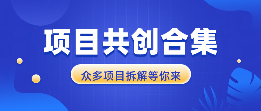 项目共创合集，从0-1全过程拆解，让你迅速找到适合自已的项目-百货大全