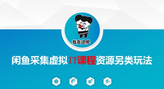 闲鱼采集虚拟IT课程资源另类玩法，干货满满-百货大全