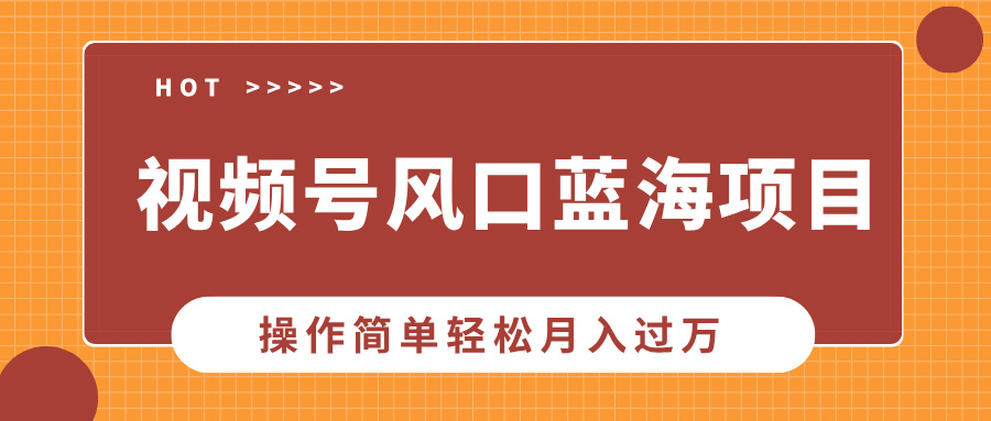 视频号风口蓝海项目，中老年人的流量密码，操作简单轻松月入过万-百货大全