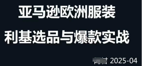 跨境电商选品案例24-25年，聚焦跨境电商选品策略与运营优化，助力卖家挖掘蓝海市场-百货大全