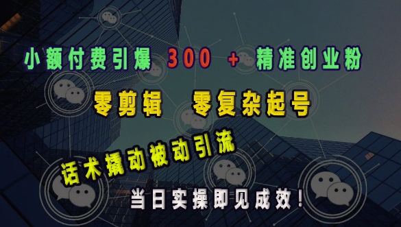 小额付费引爆 300 + 精准创业粉，零剪辑、零复杂起号，话术撬动被动引流，当日实操即见成效-百货大全