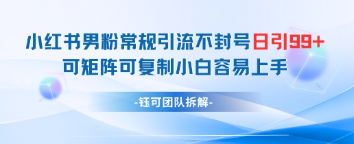 小红书男粉常规引流不封号日引99+变现简单 可矩阵可复制小白容易上手-百货大全