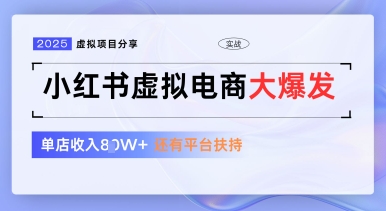 小红书虚拟电商项目，平台大力免费流量扶持，低门槛1拖3玩法-百货大全
