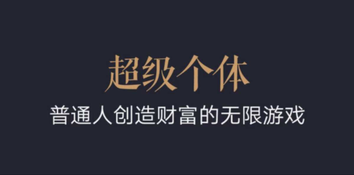超级个体：2024-2025翻盘指南，普通人创造财富的无限游戏-百货大全
