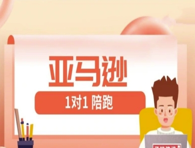 亚马逊1对1陪跑课(FBA/FBM精铺)跨境亚马逊教程-百货大全